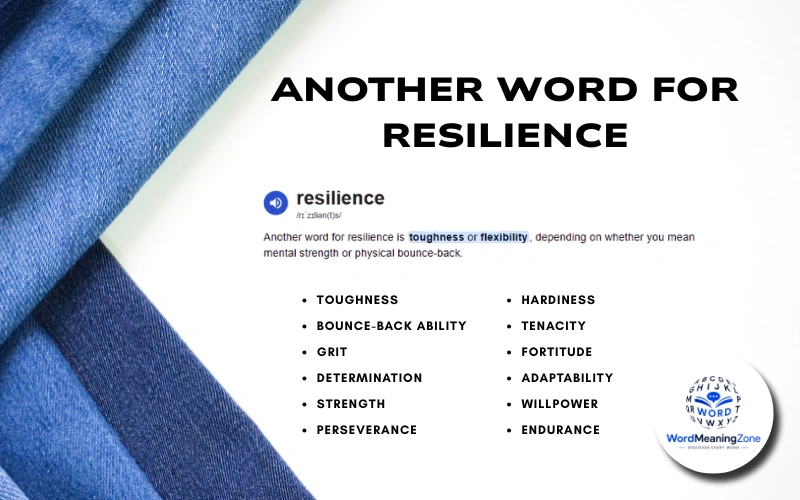 Another Word for Resilience: 15 Strong Synonyms for 2026 Another Word for Resilience