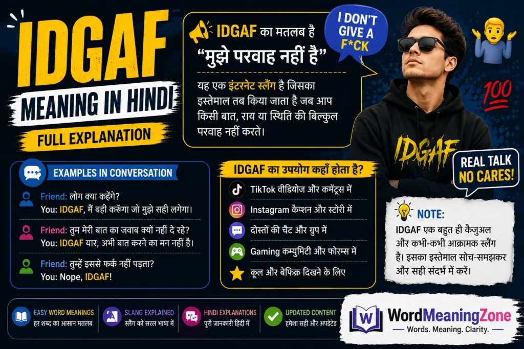 IDGAF Meaning in Hindi